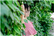 她与谎言电视剧在线观看